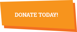 Donate Today Button